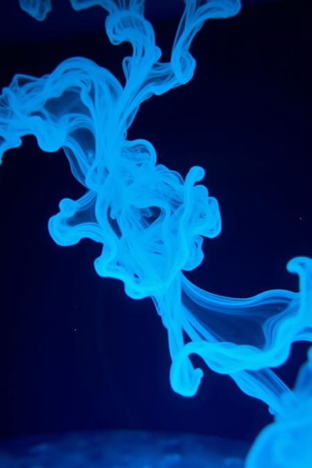 Special Effects of Dissolving Colored Ink | Flux Visual Aesthetics