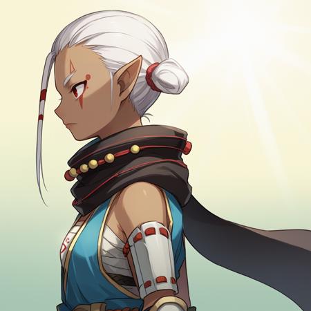 Impa - Hyrule Warriors