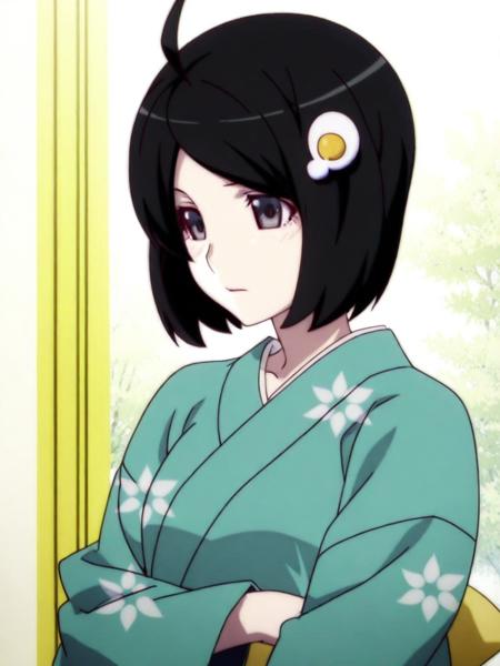 Araragi Tsukihi Illustrious [Monogatari Series]