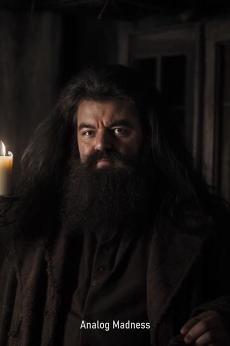 Hagrid (Harry Potter movie)版本v1.0 (ID: 87519)