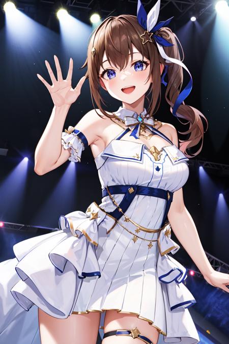 Tokino Sora ときのそら / Hololive