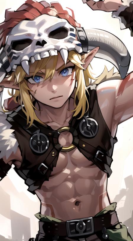 Link ( Barbarian Set )