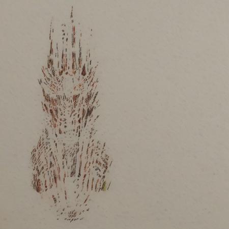 Another Strange Drawing Style