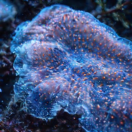 Glowing Nature