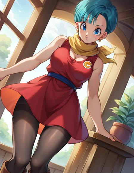 Bulma (ブルマ) - Dragon Ball (ドラゴンボール)