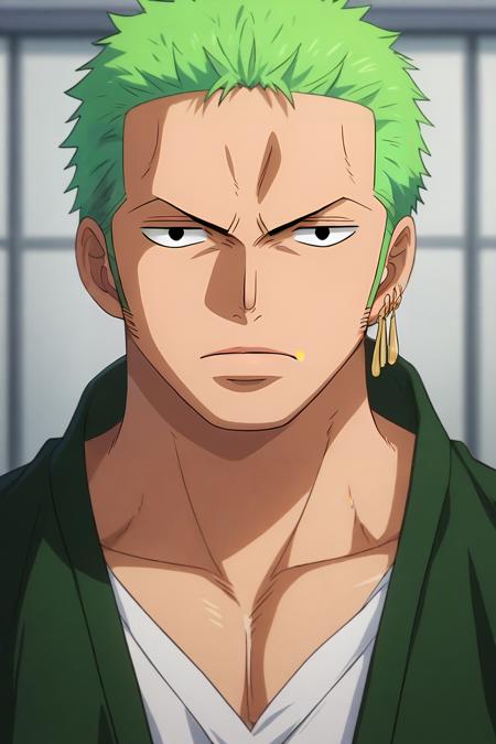 Zoro Roronoa | One Piece