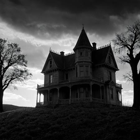 Psycho (1960 film) style XL + F1D