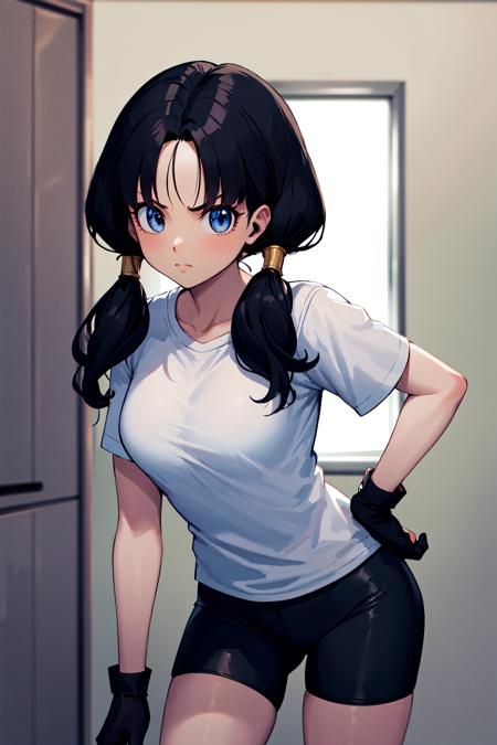 Videl ビーデル / Dragon Ball Z