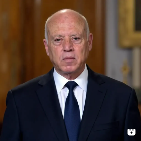 TUNISIA PRESIDENT - KAIS SAIED Flux - LoRa