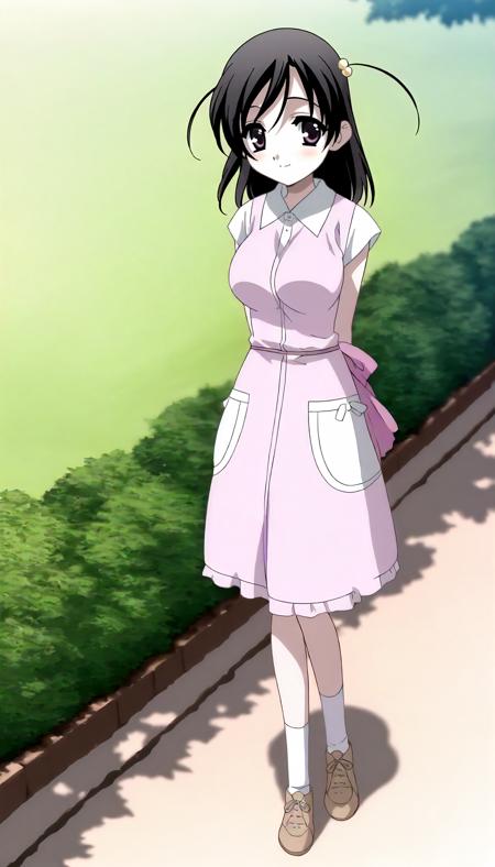 katsura_kokoro (school_days) XL Illustrious LORA