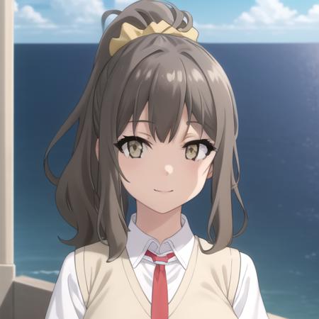双叶理央-青春猪头少年不会梦到兔女郎学姐（Futaba Rio-Rascal Does Not Dream of Bunny Girl Senpai）
