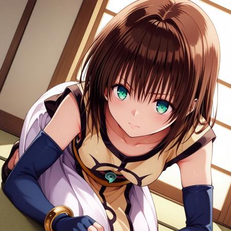 iyo (yamato gensouki)版本V1 (ID: 1188099)