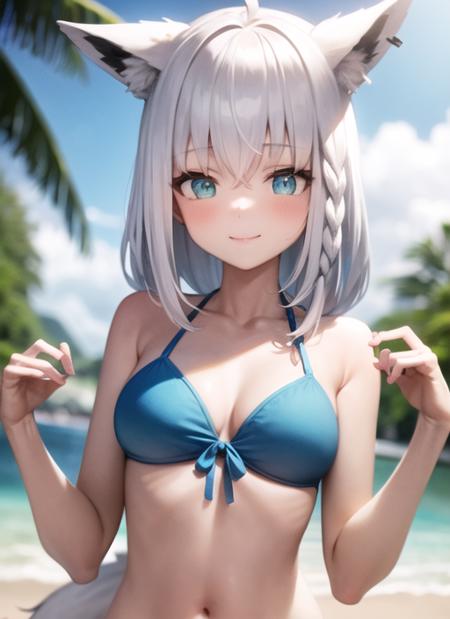 Shirakami Fubuki Hololive | 8 Outfits | Character Lora 2469