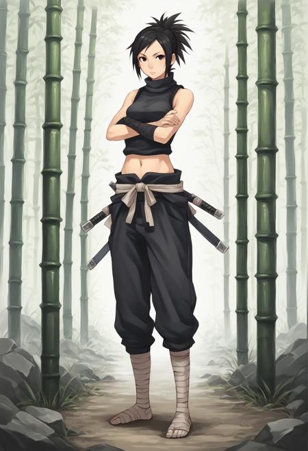 Ayame (Tenchu) XL [Pony + Illustrious]