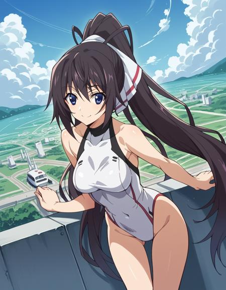 Houki Shinonono (篠ノ之 箒) - Infinite Stratos (IS 〈インフィニット・ストラトス〉)