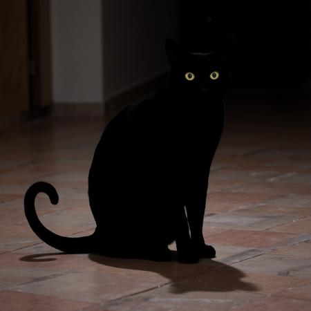 Vantablack (Dark Matte black) style XL + F1D