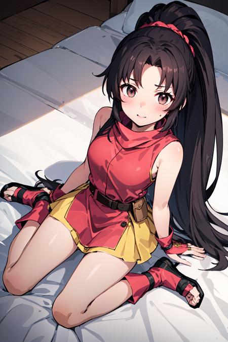 lara ( Fire Emblem )( 2outfits )