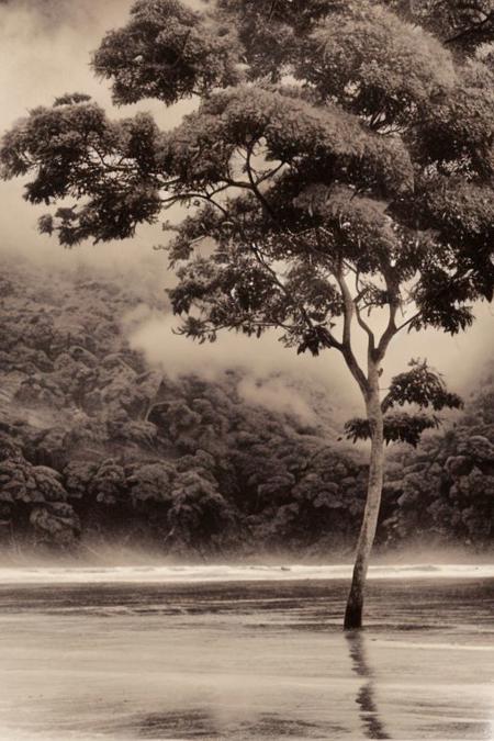 lith_Agfa_Geveart_Brovira_BW22a