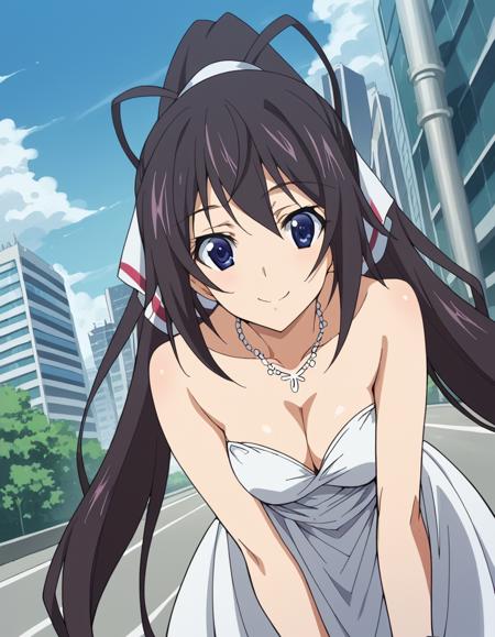 Houki Shinonono (篠ノ之 箒) - Infinite Stratos (IS 〈インフィニット・ストラトス〉)