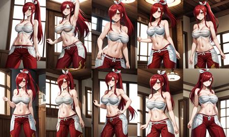 Erza Scarlet エルザ・スカーレット / Fairy Tail