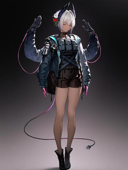 Raidian Arknights 明日方舟版本v2.5 (ID: 1234799)