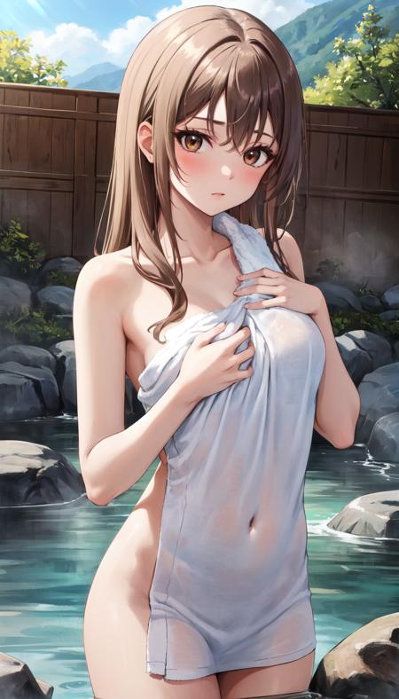 LoRA / Concept | Towel