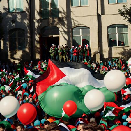 Palestine Flag版本v1.0 (ID: 220412)