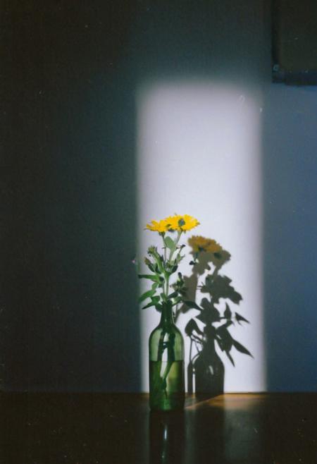 FP100C