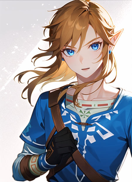 Link (Blue Tunic - Breath of the Wild) LoRA版本offset (ID: 51570)