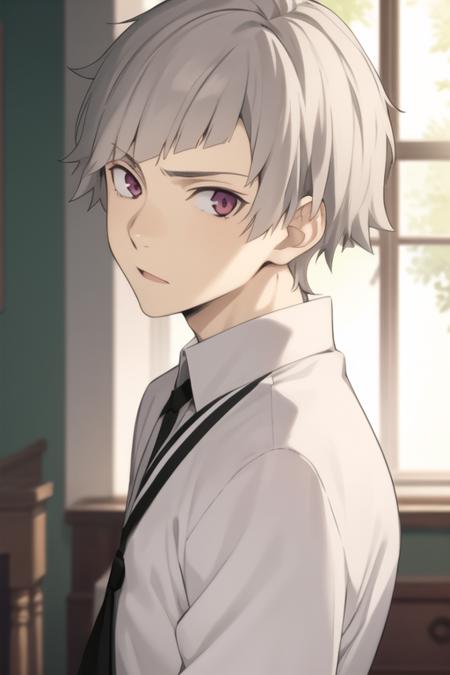 Nakajima Atsushi / Bungou Stray Dogs