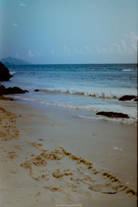 c41_zenit_kodakgold