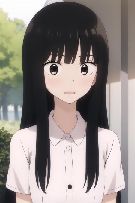 Sawako Kuronuma (Kimi No Todoke)