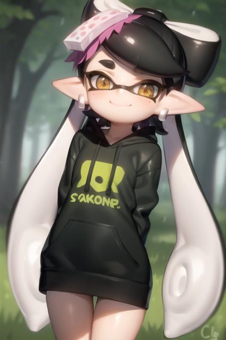 Splatoon Characters