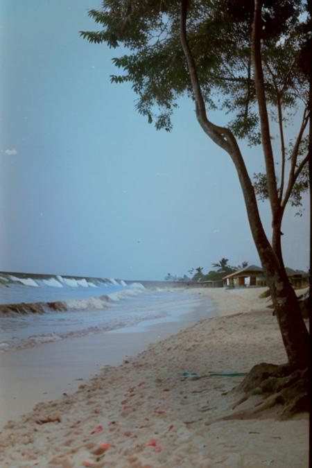 c41_zenit_kodakgold
