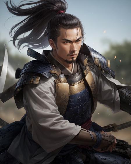 信長の大志 Nobunaga's Ambition