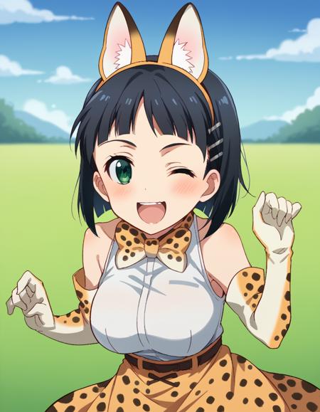 Serval (サーバル) (けものフレンズ) (サーバルちゃん) (さばんなコンビ) (魅惑のサーバル姉さん) (薮猫) Cosplay - Clothing