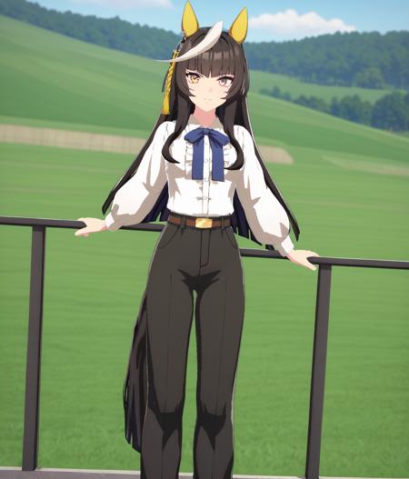 カルストンライトオ (ウマ娘) Calstone Light O (Umamusume)