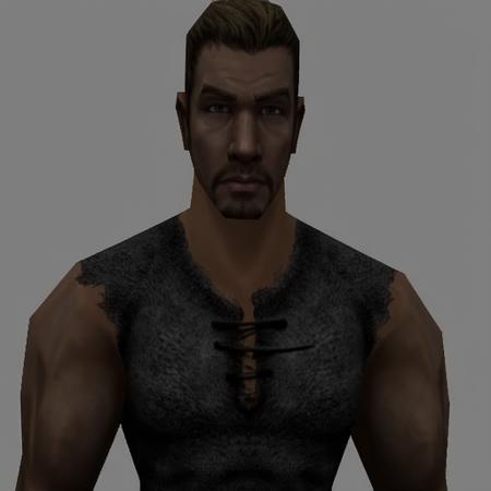 Gothic(Game) Style+Characters版本NamelessHero (ID: 900850)