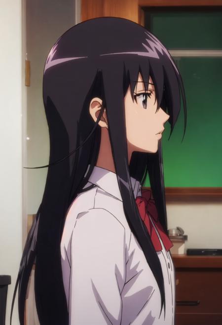 Amakusa Shino (Seitokai Yakuindomo)