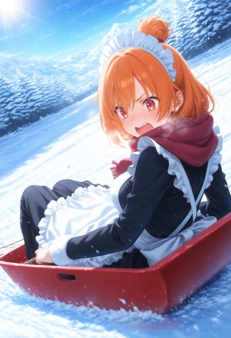 sled / ソリ / スノースライダー