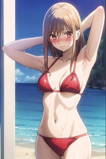 Ayase Chihaya 綾瀬 千早 / Chihayafuru