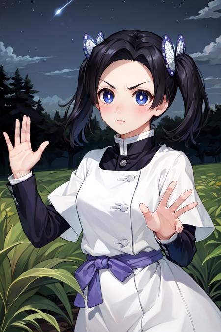 LoRA Aoi Kanzaki / Kimetsu no Yaiba