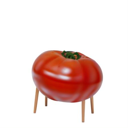 Shoryo_UMA