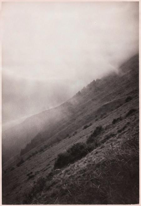 lith_argenta_BW1w