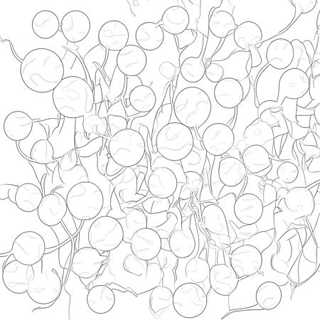 X-Rey Balls with Sperm Cells版本X-Rey Balls with Sperm Cells (ID: 578835)