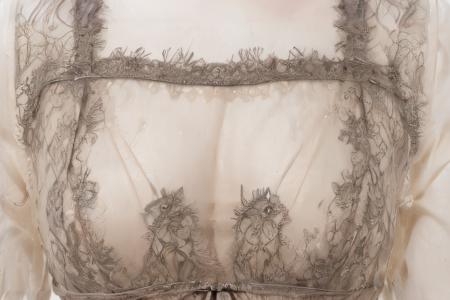 tulle lace dress (薄紗蕾絲洋裝)