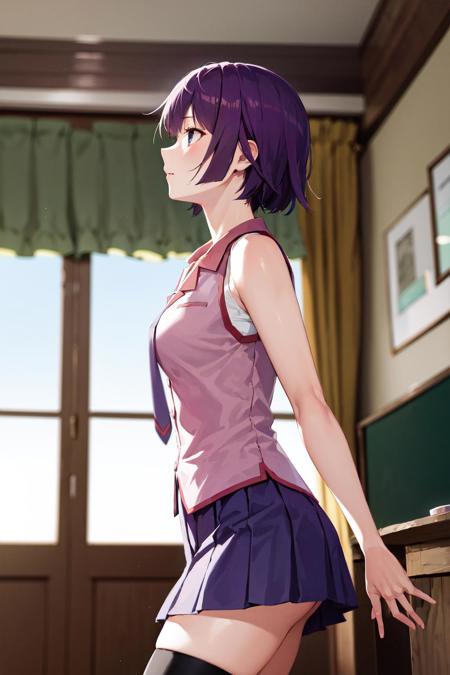 Senjougahara Hitagi 戦場ヶ原ひたぎ / Monogatari Series