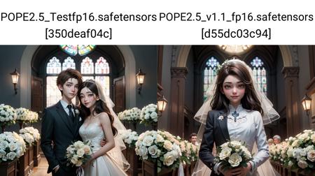 POPE2.5版本v1.2_Fp16 (ID: 58144)