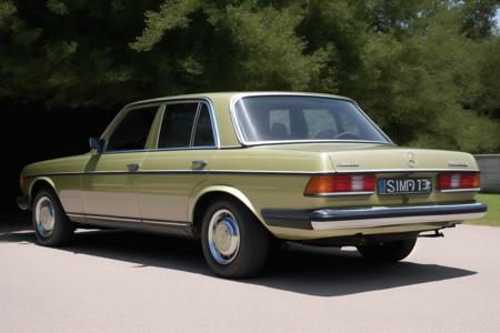 Mercedes Benz W123 - German classic saloon car