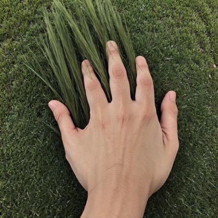 touch the grass版本v1.0 (ID: 105930)